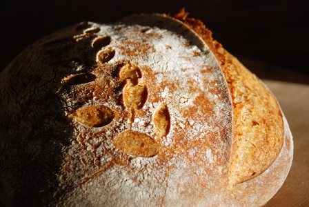 Sourdough-Web-01.JPG, Jan 2020